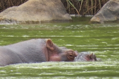 Kenya