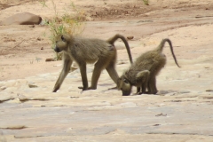 Kenya