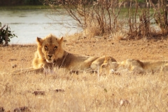 Kenya