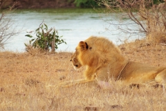 Kenya