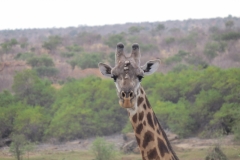 Kenya
