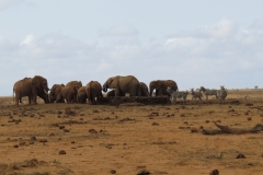 Kenya