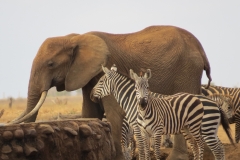 Kenya