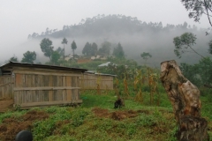 Uganda