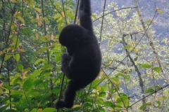 Uganda