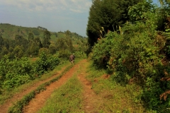 Uganda