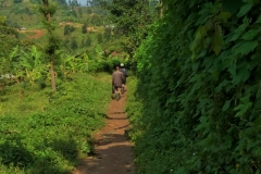 Uganda