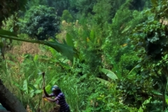 Uganda