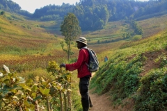 Uganda