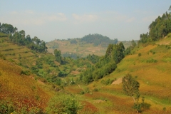 Uganda