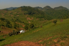 Uganda