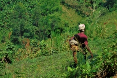 Uganda