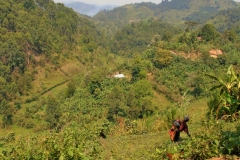 Uganda