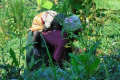 Uganda