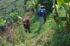 Uganda