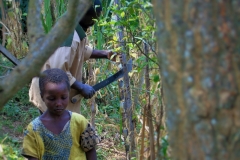 Uganda