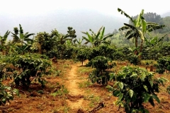 Uganda